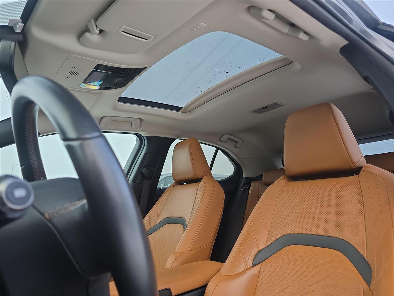 Lexus UX UX 250h GPF Prestige 2WD 2021